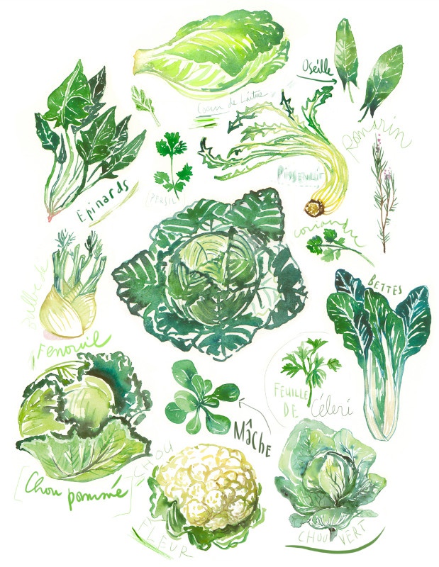 illustration lucile prache greens.jpg - Lucile PRACHE | Virginie